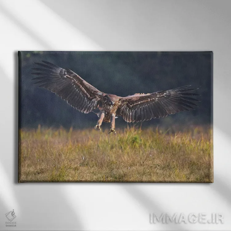 تابلو فرود عقاب اثر المر وایس - نمای روبهرو روی دیوار