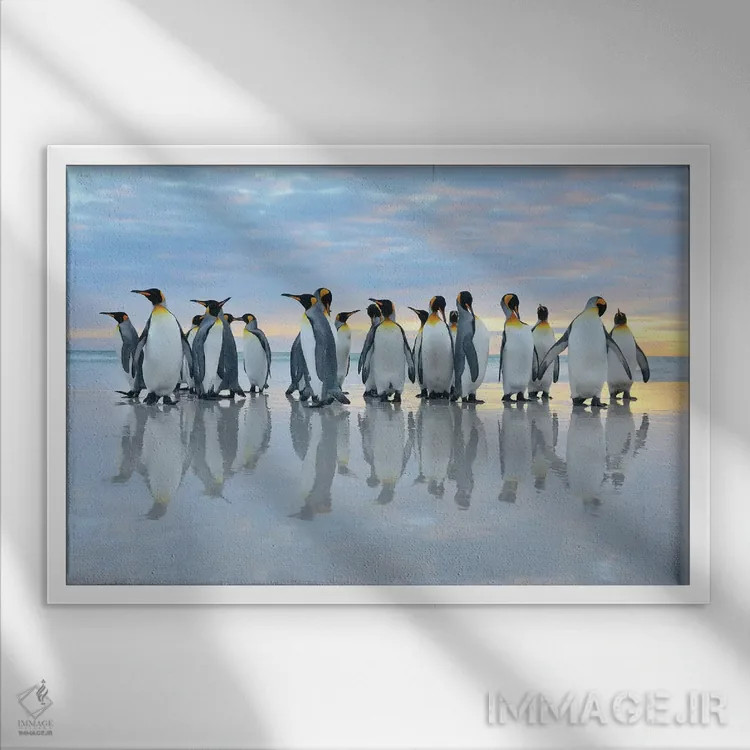 تابلو بازتاب پنگوئنهای پادشاه اثر المر وایس - نمای قابدار سفید