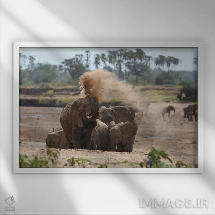 تابلو دوش گرد و غبار اثر المر وایس - نمای قابدار سفید