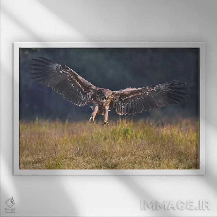 تابلو فرود عقاب اثر المر وایس - نمای قابدار سفید