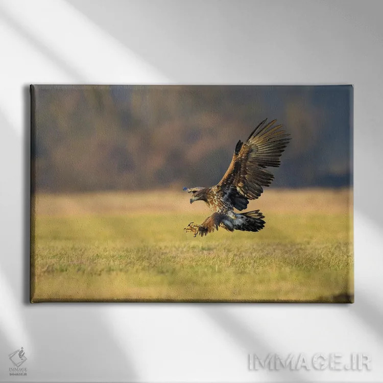 تابلو فرود عقاب دریایی اثر المر وایس - نمای روبهرو روی دیوار