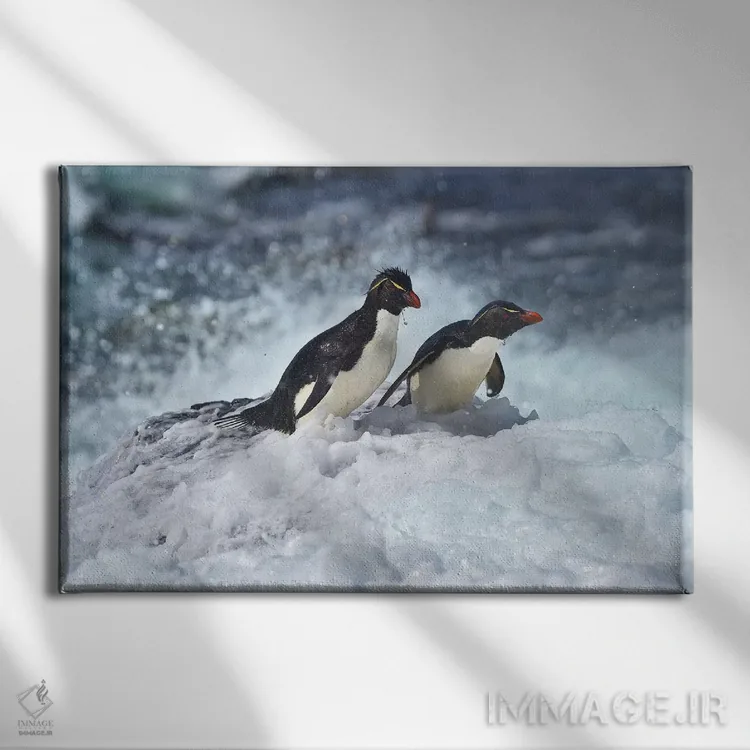 تابلو آخرین پنگوئنهای راکهوپر ایستاده (گونه پنگوئن) اثر المر وایس - نمای روبهرو روی دیوار