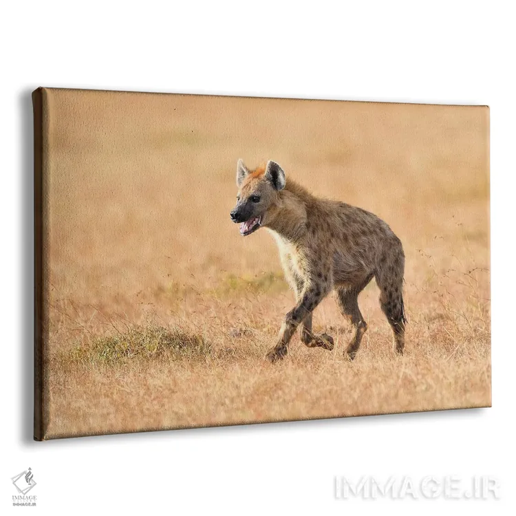 تابلو کفتار خسته اثر المر وایس - نمای پرسپکتیو محصول