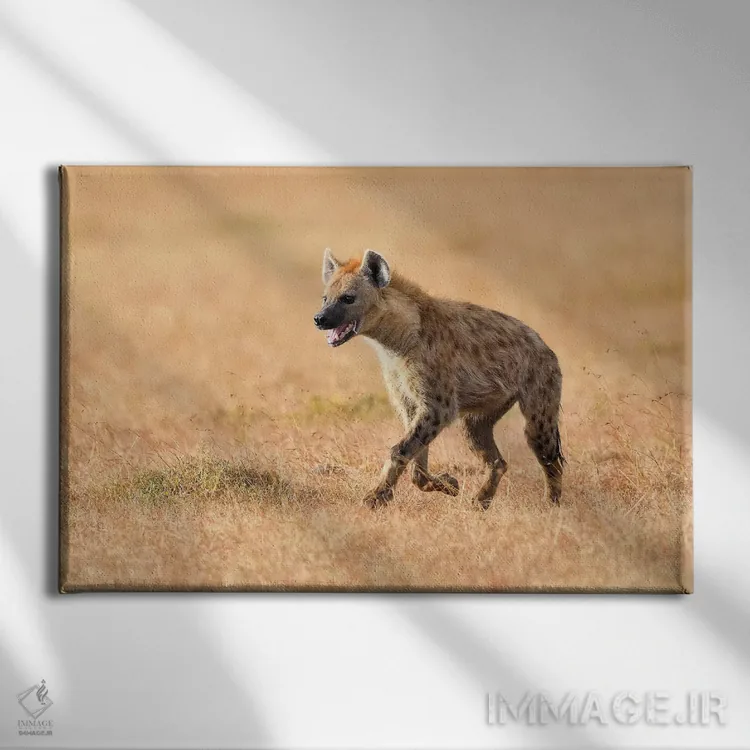 تابلو کفتار خسته اثر المر وایس - نمای روبهرو روی دیوار