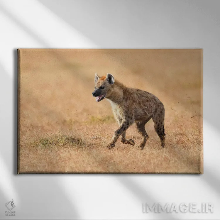 تابلو کفتار خسته اثر المر وایس - نمای روبهرو روی دیوار