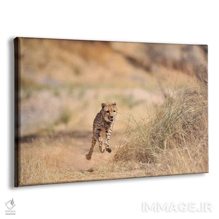 تابلو یوزپلنگ در حال پرش اثر المر وایس - نمای پرسپکتیو محصول