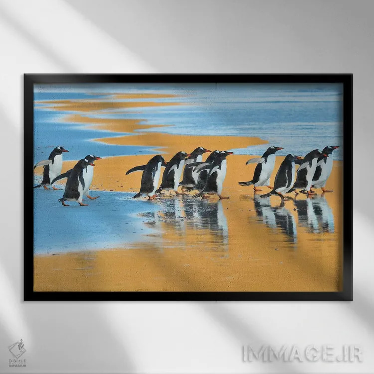 تابلو پرندگان سحرخیز اثر المر وایس - نمای قابدار مشکی