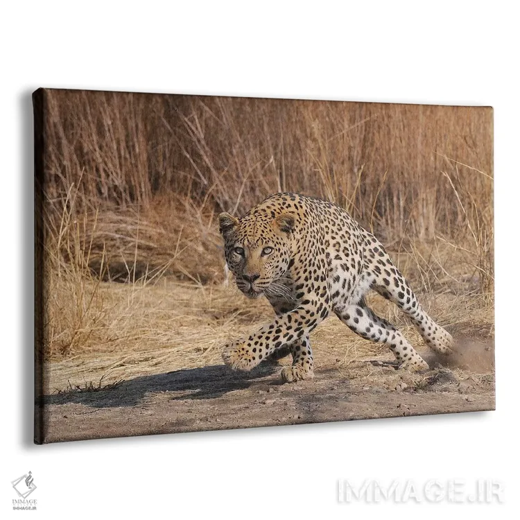 تابلو حمله پلنگ اثر المر وایس - نمای پرسپکتیو محصول