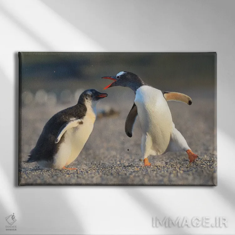 تابلو آموزش اثر المر وایس - نمای روبهرو روی دیوار