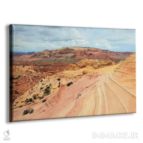 تابلو بیابان پاریا (منطقهٔ حفاظتشده آمریکا) اثر المر وایس - نمای پرسپکتیو محصول