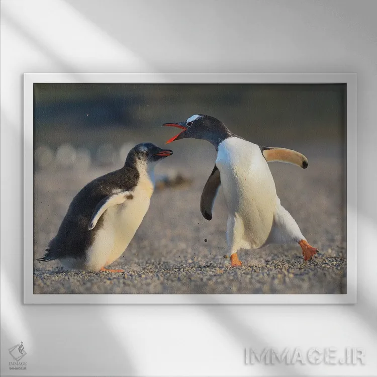 تابلو آموزش اثر المر وایس - نمای قابدار سفید