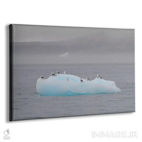 تابلو پرندگان در حال استراحت اثر المر وایس - نمای پرسپکتیو محصول