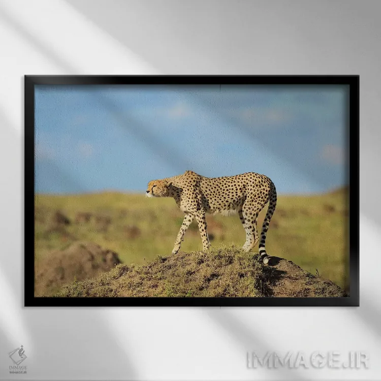 تابلو طعمه در دیدرس اثر المر وایس - نمای قابدار مشکی