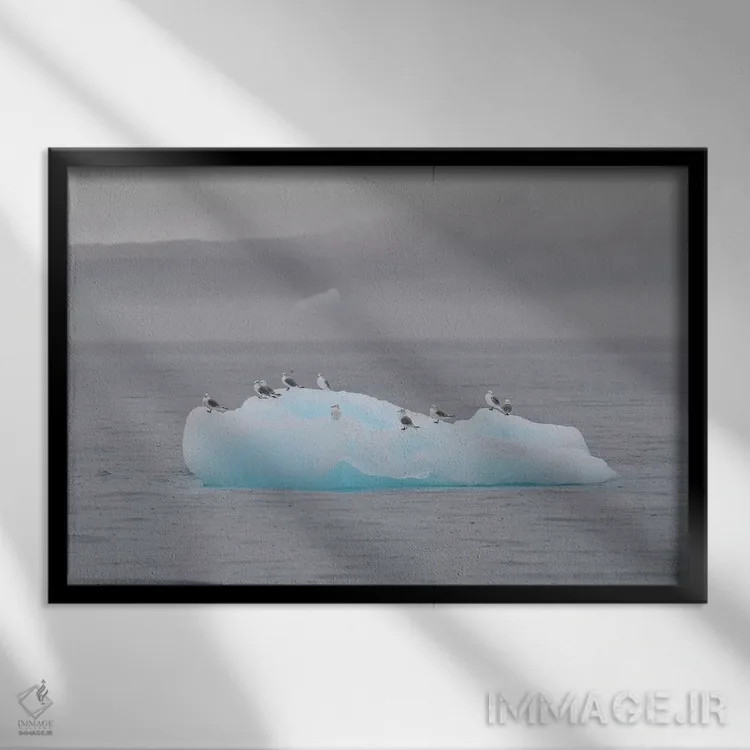 تابلو پرندگان در حال استراحت اثر المر وایس - نمای قابدار مشکی