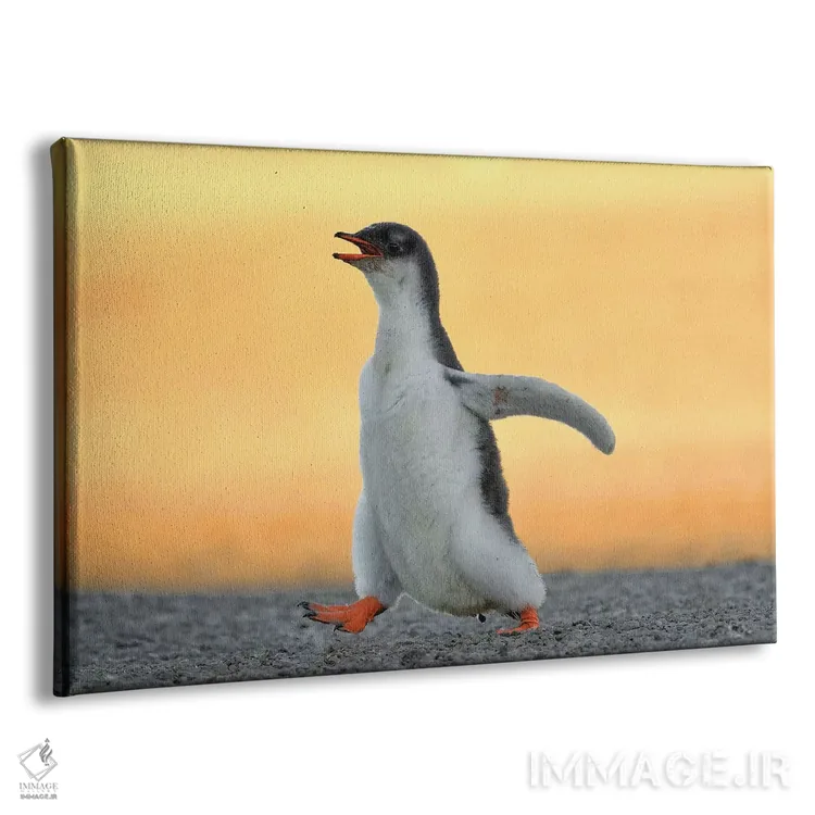 تابلو جوجه پنگوئن جنتو در حال دویدن اثر المر وایس - نمای پرسپکتیو محصول