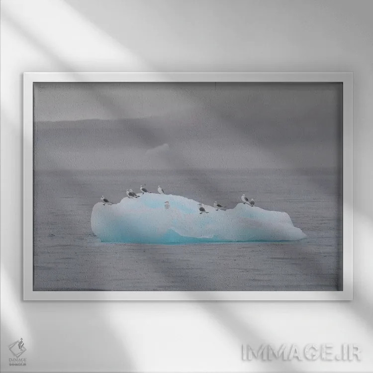 تابلو پرندگان در حال استراحت اثر المر وایس - نمای قابدار سفید