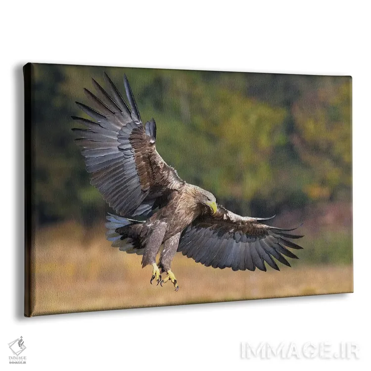 تابلو عقاب دریایی اثر المر وایس - نمای پرسپکتیو محصول