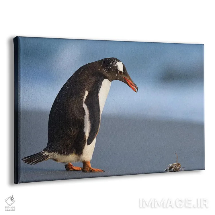 تابلو فالکلند ۱ (جزایر) اثر المر وایس - نمای پرسپکتیو محصول