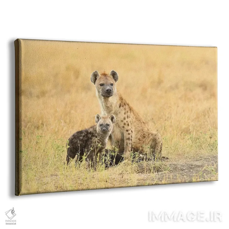 تابلو کفتار خالدار اثر المر وایس - نمای پرسپکتیو محصول