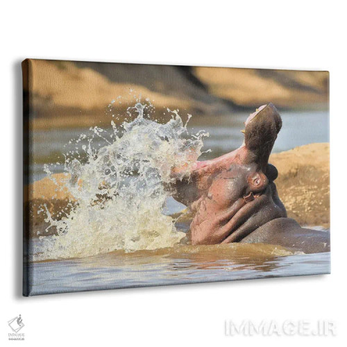 تابلو اسب آبی در حال پاشیدن آب اثر المر وایس - نمای پرسپکتیو محصول