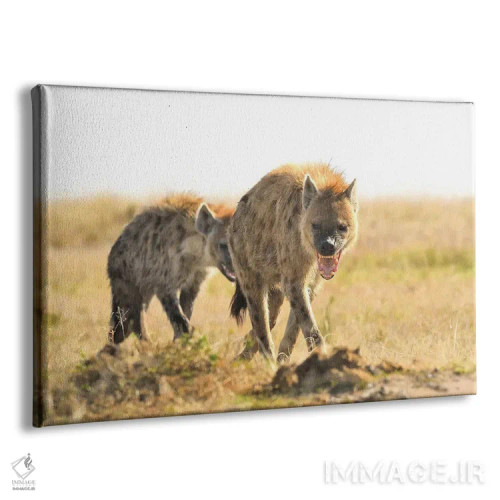 تابلو کفتارهای خالدار در حال قدم زدن اثر المر وایس - نمای پرسپکتیو محصول