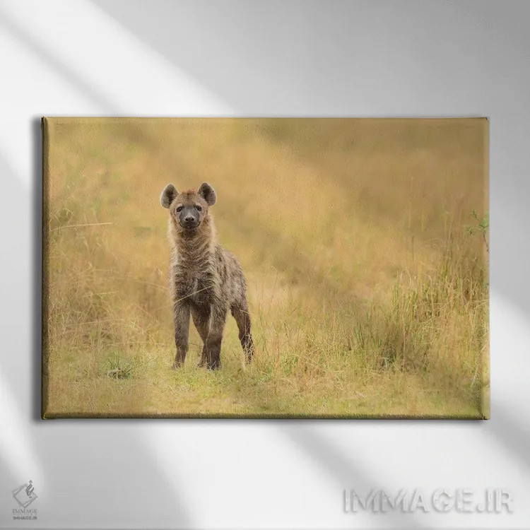 تابلو نمای روبرو کفتار خالدار اثر المر وایس - نمای روبهرو روی دیوار