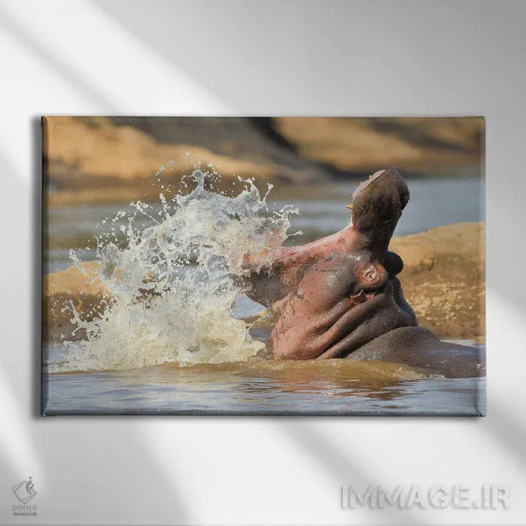 تابلو اسب آبی در حال پاشیدن آب اثر المر وایس - نمای روبهرو روی دیوار