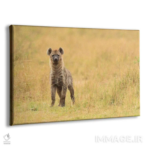 تابلو نمای روبرو کفتار خالدار اثر المر وایس - نمای پرسپکتیو محصول