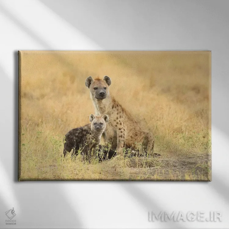 تابلو کفتار خالدار اثر المر وایس - نمای روبهرو روی دیوار