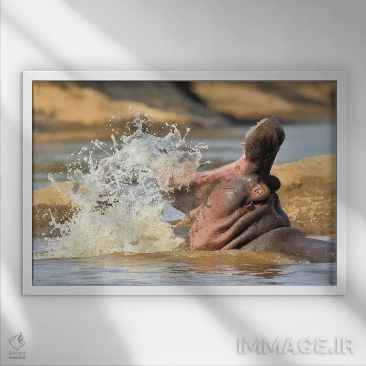 تابلو اسب آبی در حال پاشیدن آب اثر المر وایس - نمای قابدار سفید