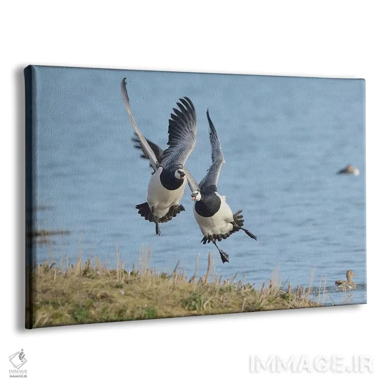 تابلو تعقیب اثر المر وایس - نمای پرسپکتیو محصول