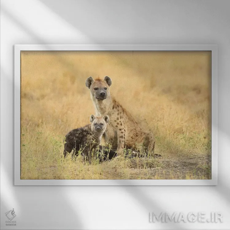 تابلو کفتار خالدار اثر المر وایس - نمای قابدار سفید