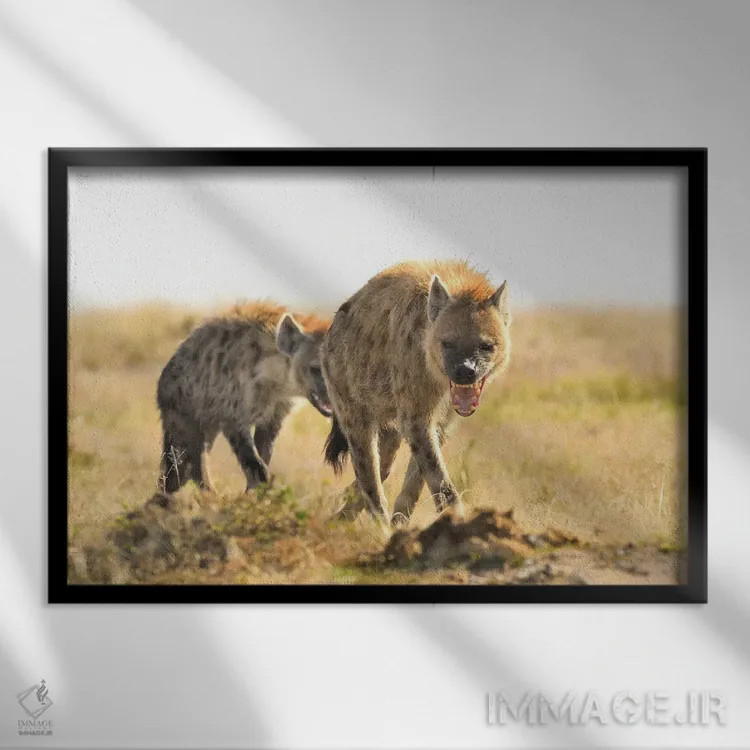 تابلو کفتارهای خالدار در حال قدم زدن اثر المر وایس - نمای قابدار مشکی