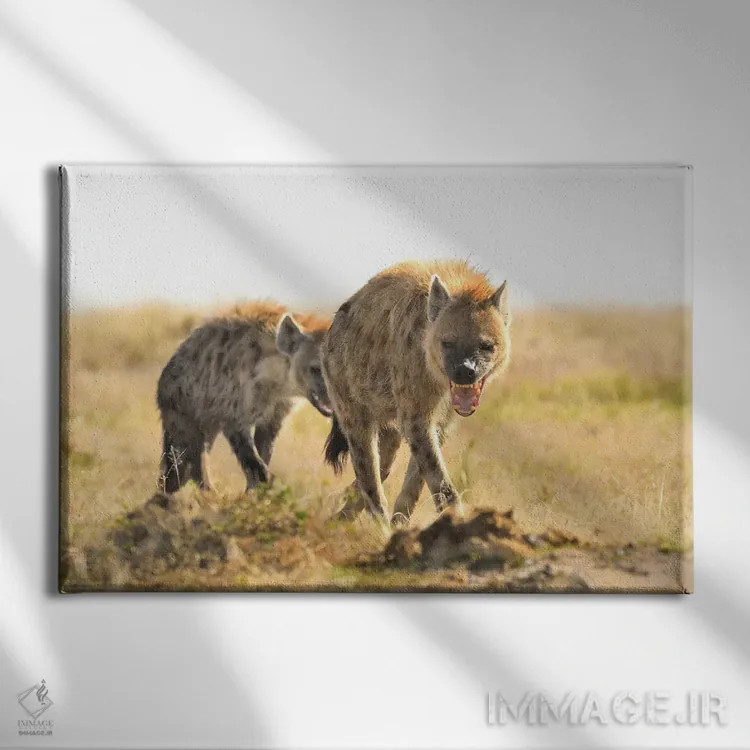 تابلو کفتارهای خالدار در حال قدم زدن اثر المر وایس - نمای روبهرو روی دیوار