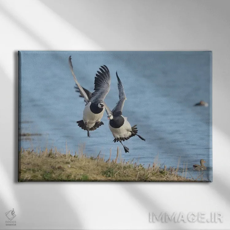 تابلو تعقیب اثر المر وایس - نمای روبهرو روی دیوار