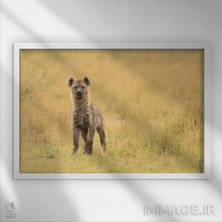 تابلو نمای روبرو کفتار خالدار اثر المر وایس - نمای قابدار سفید