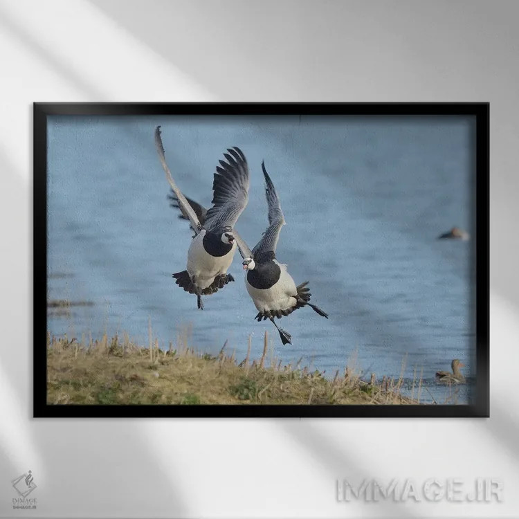 تابلو تعقیب اثر المر وایس - نمای قابدار مشکی