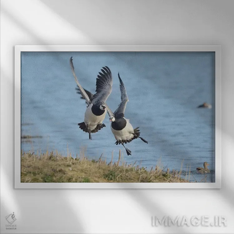 تابلو تعقیب اثر المر وایس - نمای قابدار سفید