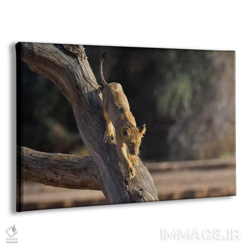 تابلو توله شیر درختنورد اثر المر وایس - نمای پرسپکتیو محصول