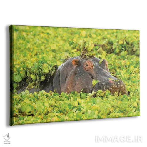 تابلو اسب آبی مخفیشده اثر المر وایس - نمای پرسپکتیو محصول