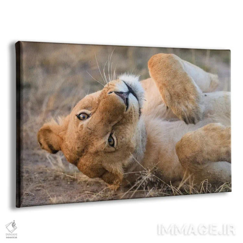 تابلو شیر ماده وارونه اثر المر وایس - نمای پرسپکتیو محصول