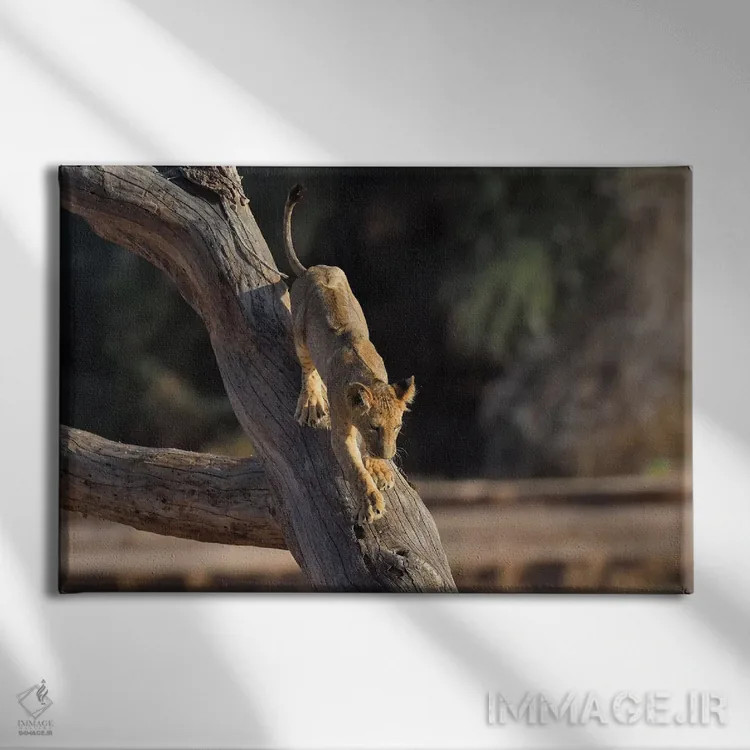 تابلو توله شیر درختنورد اثر المر وایس - نمای روبهرو روی دیوار