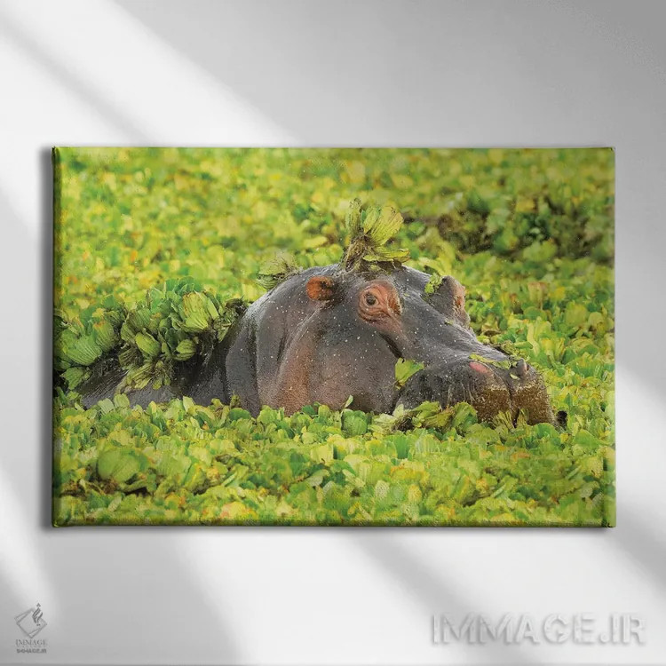 تابلو اسب آبی مخفیشده اثر المر وایس - نمای روبهرو روی دیوار