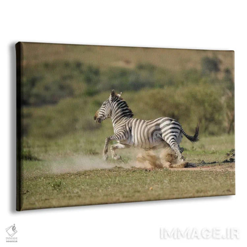 تابلو گورخر در حال فرار اثر المر وایس - نمای پرسپکتیو محصول