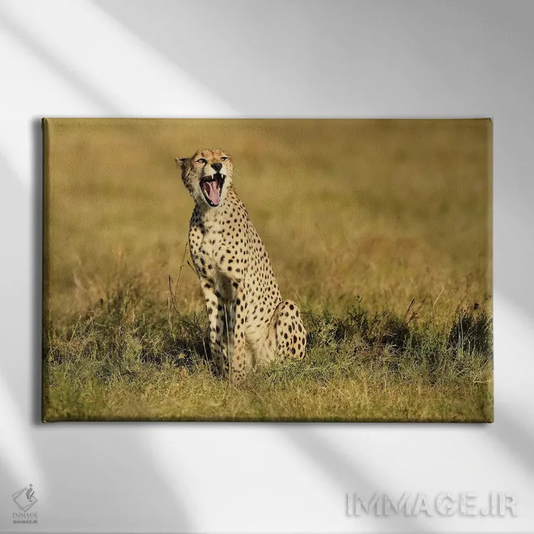 تابلو یوزپلنگ خمیازهکش اثر المر وایس - نمای روبهرو روی دیوار