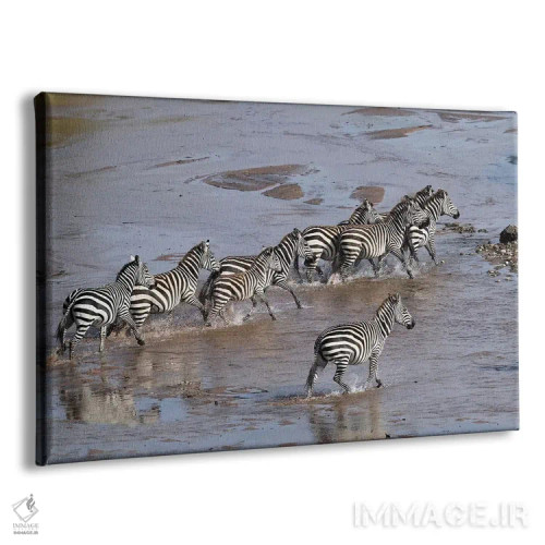 تابلو گورخرها در حال عبور از رودخانه اثر المر وایس - نمای پرسپکتیو محصول