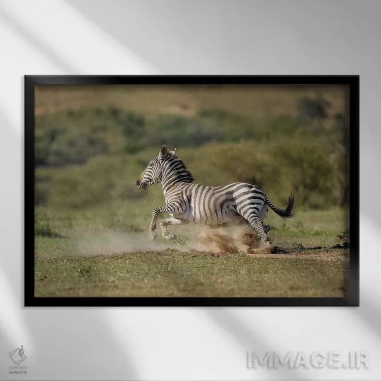 تابلو گورخر در حال فرار اثر المر وایس - نمای قابدار مشکی