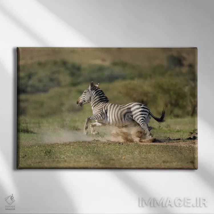 تابلو گورخر در حال فرار اثر المر وایس - نمای روبهرو روی دیوار