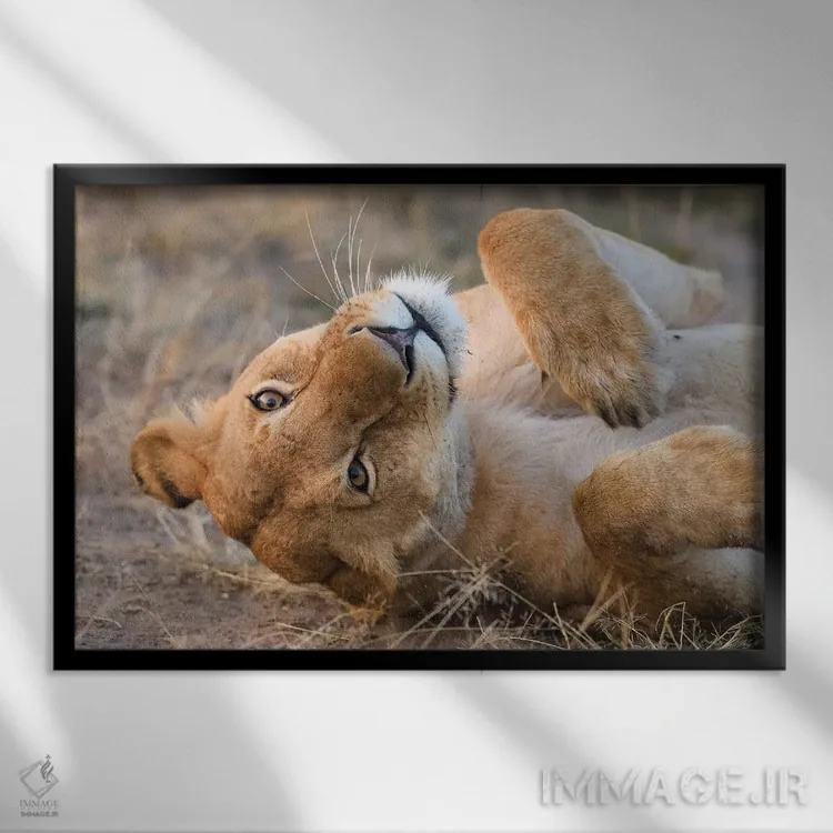 تابلو شیر ماده وارونه اثر المر وایس - نمای قابدار مشکی