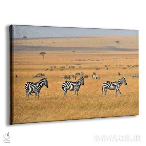 تابلو گورخرها در دشتهای ماسای مارا اثر المر وایس - نمای پرسپکتیو محصول